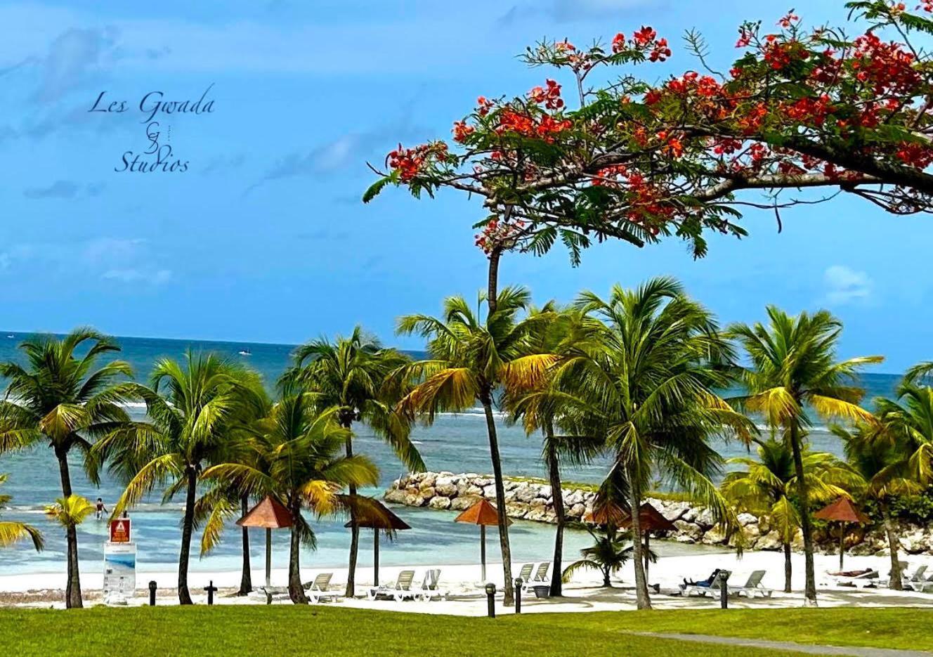 Vue Exclusive Mer Et Volcan, Village Vacances Avec Plage Et Piscine, Les Gwadastudios Sainte-Anne  Eksteriør billede